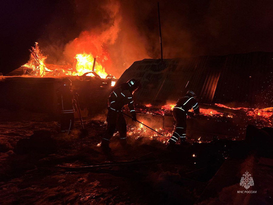 photo 2025 02 24 12 12 49